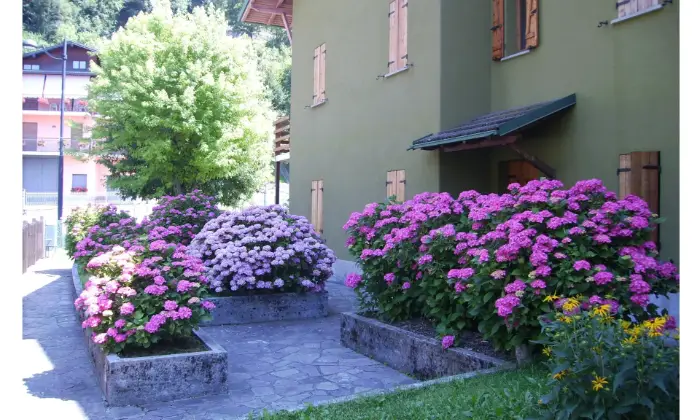 Rexer-Bracca-Appartamento-in-montagna-ALTRO