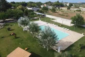 Rexer-Latiano-Villa-Asia-magnifica-villa-immersa-nella-natura-e-dotata-di-piscina-ALTRO