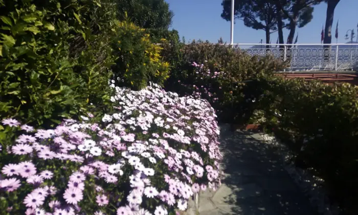 Rexer-Rapallo-Sole-e-aria-buona-in-tranquillit-Solarium