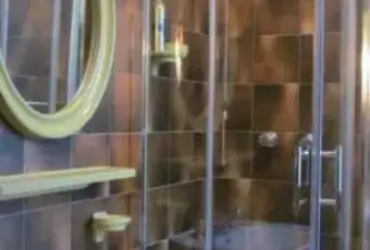 Rexer-Roburent-Bilocale-a-SGiacomo-di-Roburent-BAGNO
