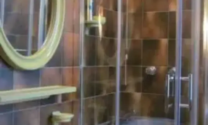 Rexer-Roburent-Bilocale-a-SGiacomo-di-Roburent-BAGNO