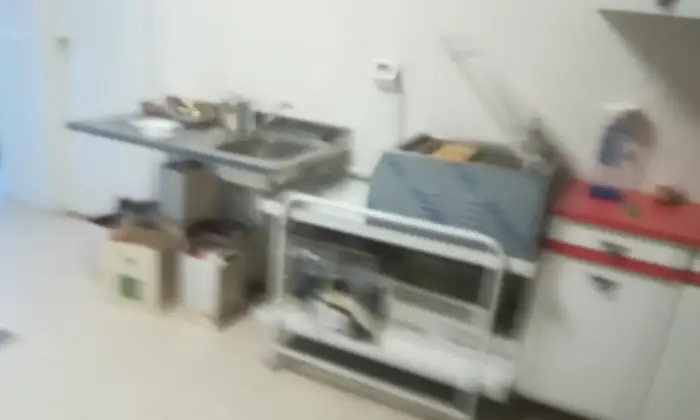 Rexer-Salussola-AffittasiVendesi-attivit-di-ristorazione-e-complesso-immobiliare-Cucina