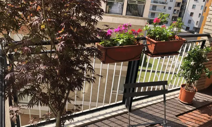 Rexer-Milano-Apartment-for-happy-life-in-Milan-Giardino