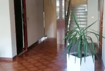 Rexer-Palermo-Appartamento-in-affitto-in-Piazzale-della-Costellazione-a-Palermo-Altro
