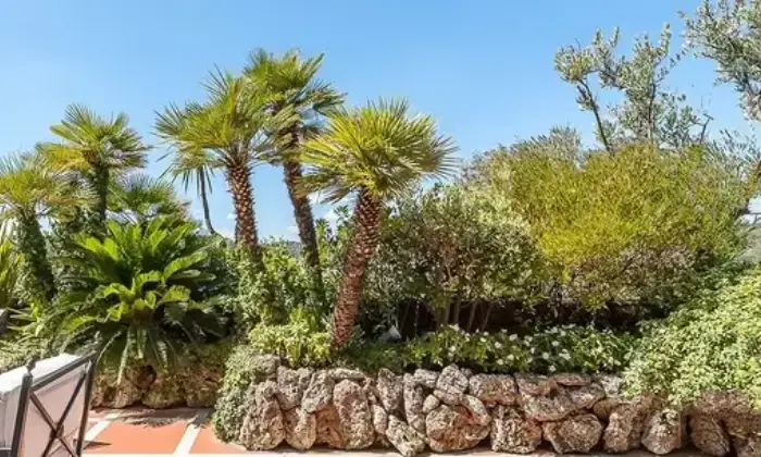 Rexer-Reggio-di-Calabria-Vendesi-Attico-panoramico-a-Reggio-Calabria-RC-Giardino