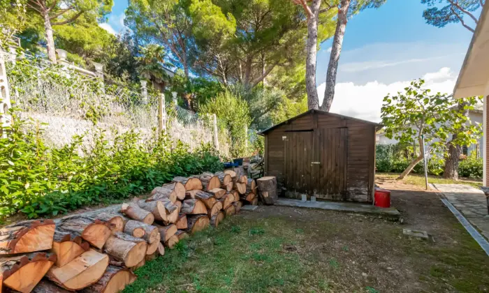 Rexer-Livorno-Villa-ben-tenuta-con-ampio-giardino-a-Quercianella-GIARDINO