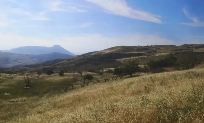 Rexer-Scillato-Rustico-immerso-in-un-incantevole-natura-Terrazzo