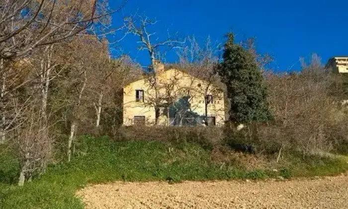 Rexer-Monterubbiano-Casale-Contrada-Canniccio-Monterubbiano-ALTRO