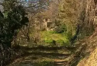 Rexer-Monterubbiano-Casale-Contrada-Canniccio-Monterubbiano-ALTRO