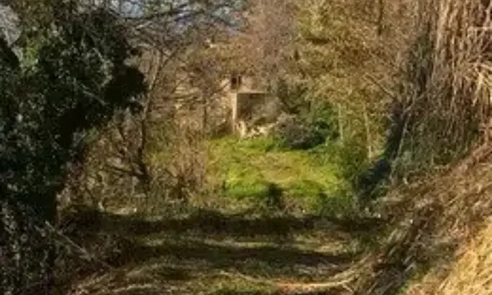 Rexer-Monterubbiano-Casale-Contrada-Canniccio-Monterubbiano-ALTRO