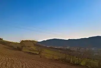 Rexer-Monterubbiano-Casale-Contrada-Canniccio-Monterubbiano-ALTRO