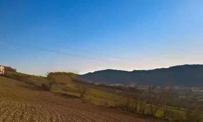 Rexer-Monterubbiano-Casale-Contrada-Canniccio-Monterubbiano-ALTRO