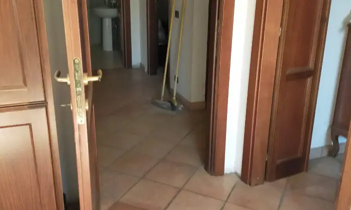 Rexer-Fonte-Nuova-Appartamento-in-Via-degli-Ulivi-Fonte-Nuova-Altro