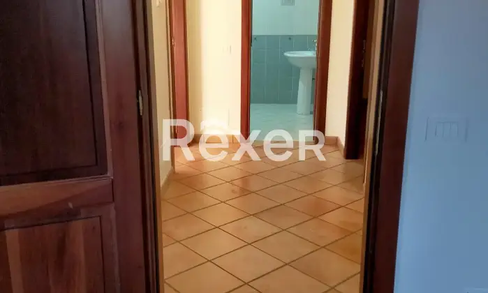 Rexer-Fonte-Nuova-Appartamento-in-Via-degli-Ulivi-Fonte-Nuova-Altro