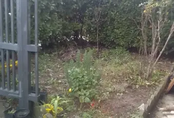Rexer-Mulazzo-Casa-indipendente-con-giardino-a-Mulazzo-Giardino