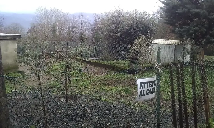 Rexer-Mulazzo-Casa-indipendente-con-giardino-a-Mulazzo-Giardino
