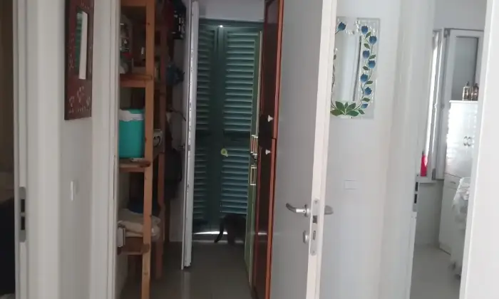 Rexer-Roccastrada-Vendersi-casa-indipendente-Altro
