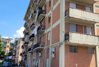 Rexer-Sarzana-Quadrilocale-in-vendita-in-via-Pietro-Gori-a-Sarzana-Giardino