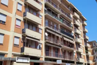 Rexer-Sarzana-Quadrilocale-in-vendita-in-via-Pietro-Gori-a-Sarzana-Terrazzo