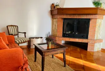 Rexer-Ceglie-Messapica-TRULLO-CON-BOSCO-PRIVATO-Altro