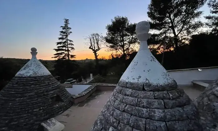 Rexer-Ceglie-Messapica-TRULLO-CON-BOSCO-PRIVATO-Giardino