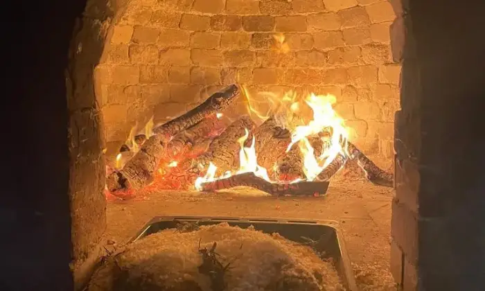 Rexer-Ceglie-Messapica-TRULLO-CON-BOSCO-PRIVATO-Altro