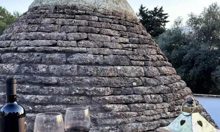 Rexer-Ceglie-Messapica-TRULLO-CON-BOSCO-PRIVATO-Altro