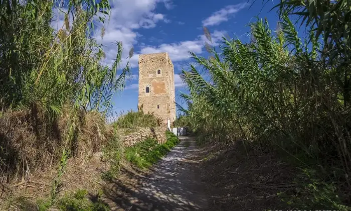 Rexer-Campofelice-di-Roccella-APPARTAMENTO-IN-VILLA-CAMPOFELICE-Terrazzo