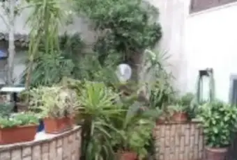 Rexer-Presicce-Casa-indipendente-in-vendita-in-via-Giuseppe-VerdiPresicce-Giardino
