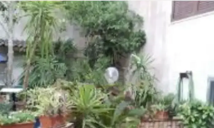 Rexer-Presicce-Casa-indipendente-in-vendita-in-via-Giuseppe-VerdiPresicce-Giardino
