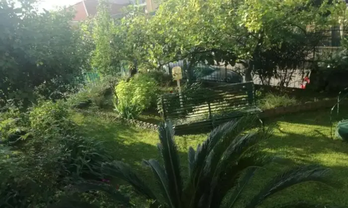 Rexer-Vico-Equense-Appartamento-in-Via-Raffaele-Bosco-Vico-Equense-Giardino