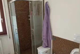 Rexer-Lumezzane-Bilocale-via-Massimo-dAzeglio-San-Sebastiano-Lumezzane-Bagno