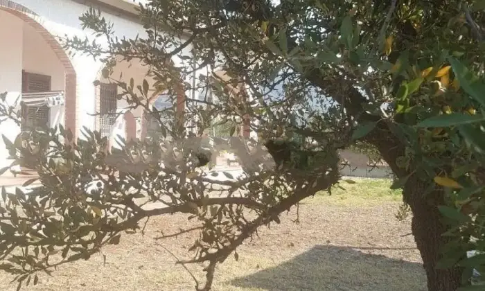 Rexer-Villapiana-Vendesi-villa-in-corso-Italia-Villapiana-Terrazzo