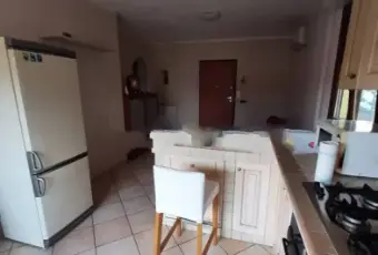 Rexer-Roccastrada-Bilocale-via-del-Saltecchio-Sticciano-Scalo-Roccastrada-Cucina