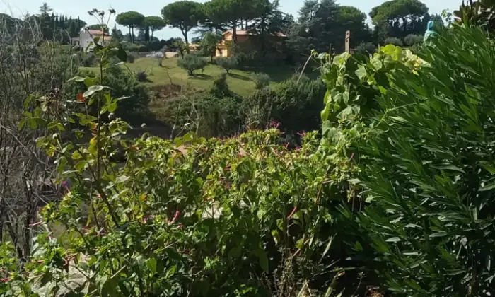 Rexer-Morlupo-Villa-trifamiliare-Morlupo-Terrazzo