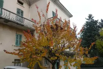 Rexer-Carpegna-Rustico-a-Carpegna-Terrazzo