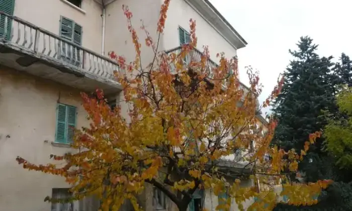 Rexer-Carpegna-Rustico-a-Carpegna-Terrazzo