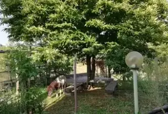 Rexer-Sorianello-Villino-con-terreno-adibito-a-bb-Giardino