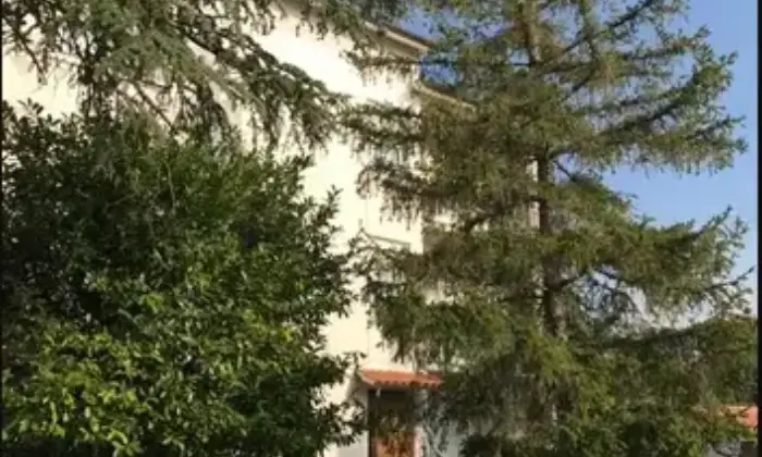 Rexer-Serra-De-Conti-Appartamento-locato-libero-da-Gennaio-Terrazzo