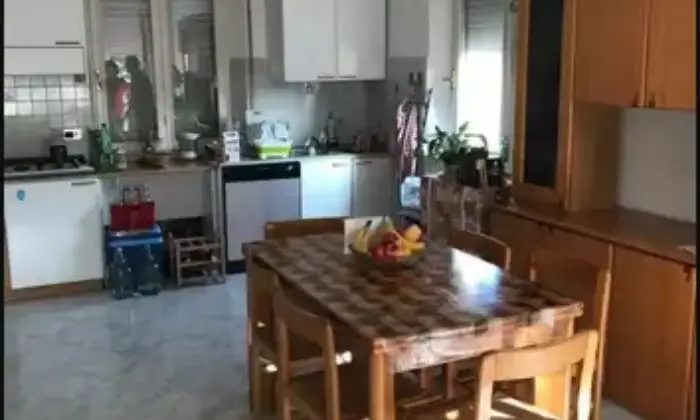 Rexer-Serra-d-Conti-Appartamento-locato-libero-da-Gennaio-Altro