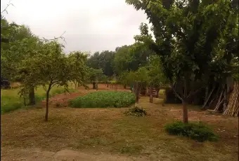 Rexer-Roccaromana-Rustico-da-ristrutturare-con-vigneto-Giardino