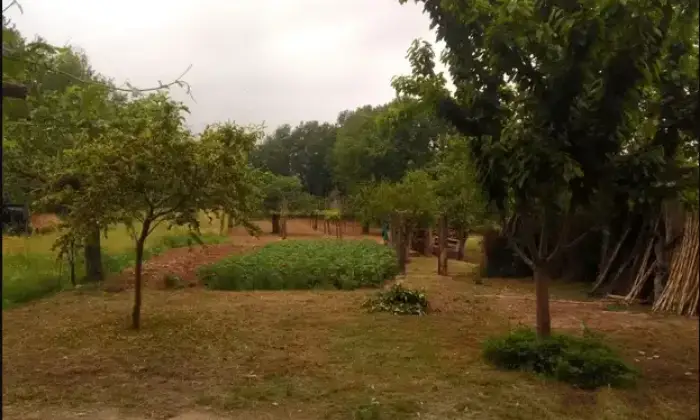 Rexer-Roccaromana-Rustico-da-ristrutturare-con-vigneto-Giardino