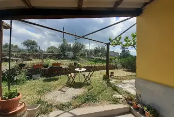 Rexer-Perfugas-Casa-in-campagna-vicino-al-mare-Giardino