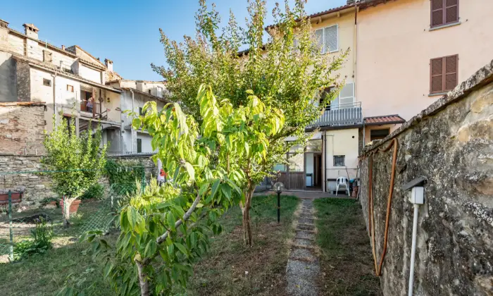 Rexer-Modigliana-Palazzina-indipendente-suddivisa-in-appartamenti-GIARDINO