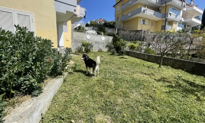 Rexer-Scalea-Appartamento-con-giardino-e-Vista-Giardino