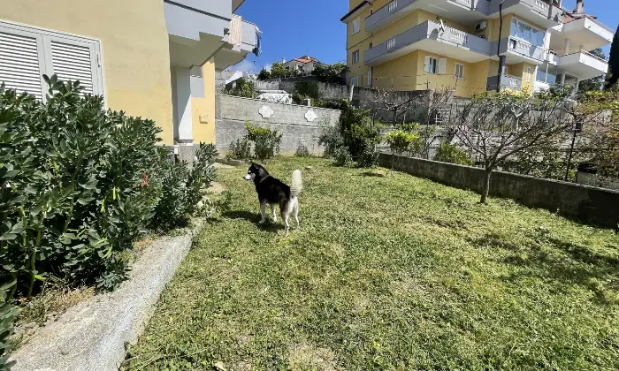 Rexer-Scalea-DIRETTAMENTE-COSTRUISCE-E-VENDE-Giardino