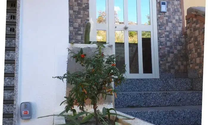 Rexer-Scalea-DIRETTAMENTE-COSTRUISCE-E-VENDE-Altro