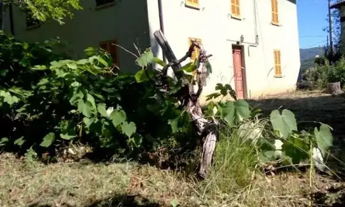 Rexer-Bardi-Casa-indipendente-Bardi-PR-Giardino