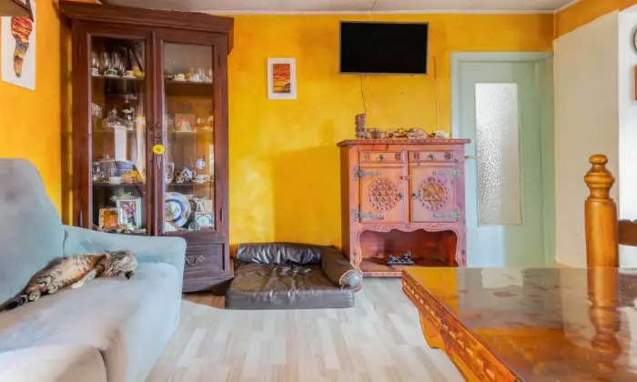 Rexer-Quiliano-Casa-per-vacanze-MareMonti-nel-borgo-di-Cadibona-fraz-di-Quiliano-SALONE