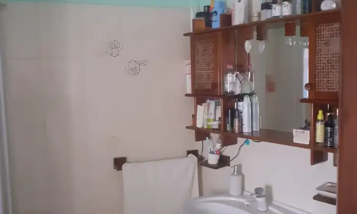 Rexer-Albanella-Vendesi-appartamento-ad-Albanella-BAGNO